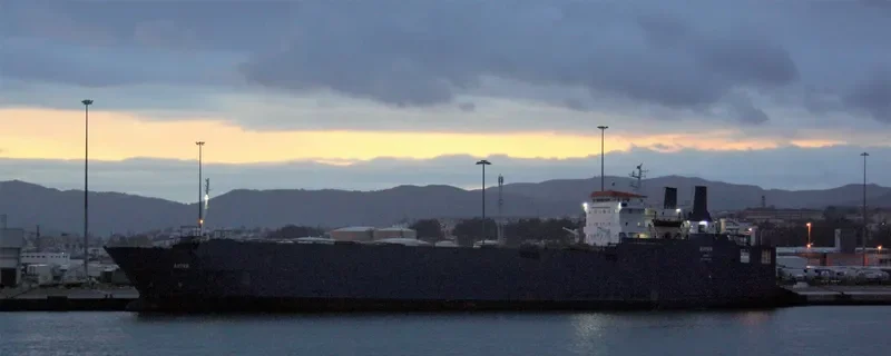 AVIVA Ro-Ro IMO 8030283