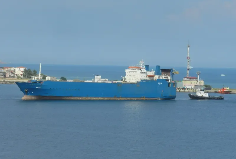 AVIVA Ro-Ro IMO 8030283 photo 2