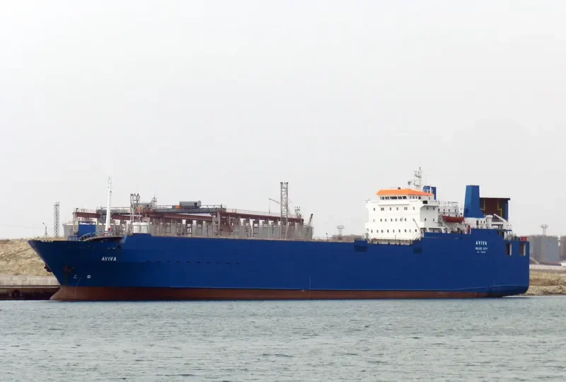 AVIVA Ro-Ro IMO 8030283 photo 3