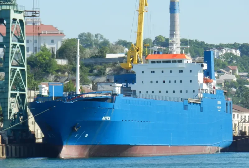 AVIVA Ro-Ro IMO 8030283 photo 4