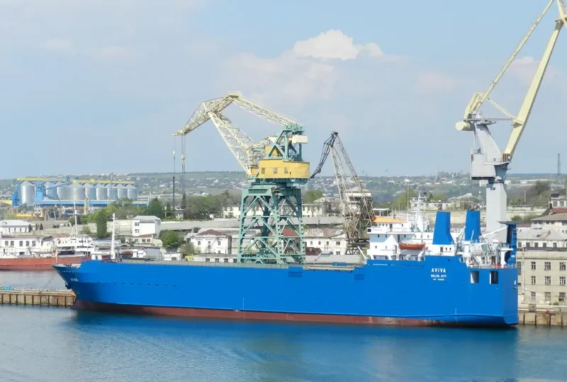 AVIVA Ro-Ro IMO 8030283 photo 6