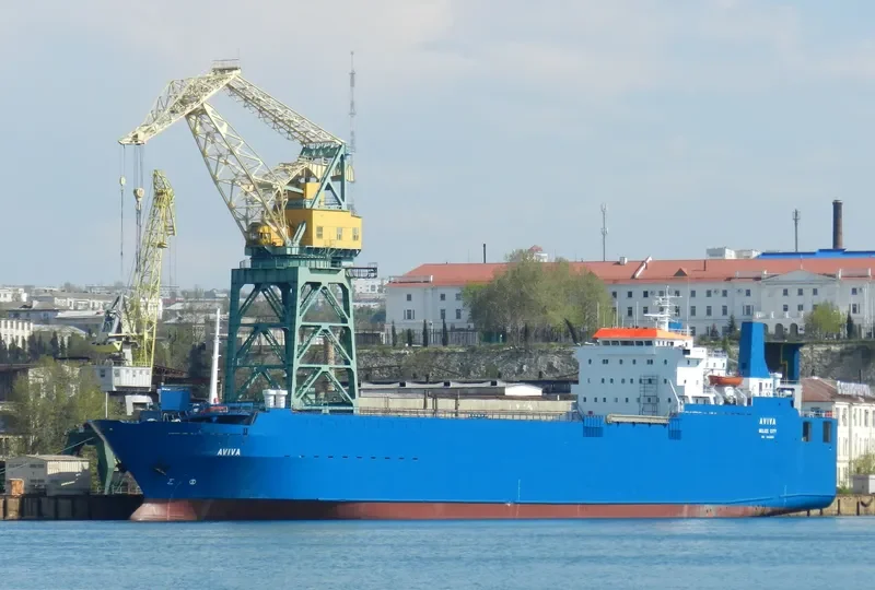 AVIVA Ro-Ro IMO 8030283 photo 7