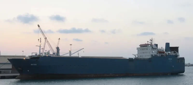 AVIVA Ro-Ro IMO 8030283 photo 8