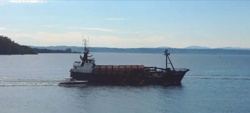 TEMPO SEA General Cargo IMO 8030491