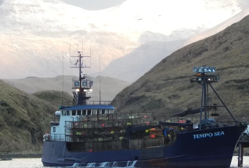 TEMPO SEA General Cargo IMO 8030491 photo 2