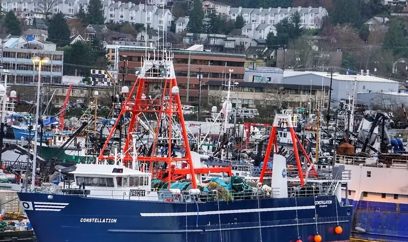 CONSTELLATION General Cargo IMO 8030788