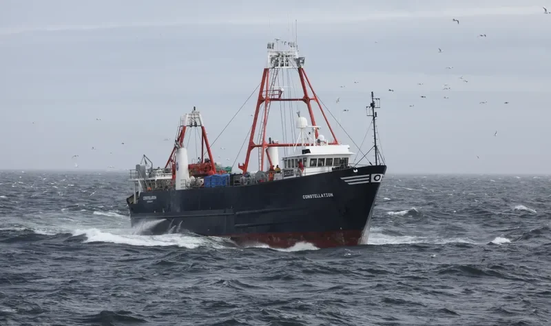 CONSTELLATION General Cargo IMO 8030788 photo 2