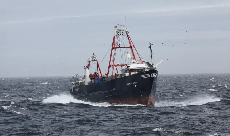 CONSTELLATION General Cargo IMO 8030788 photo 3