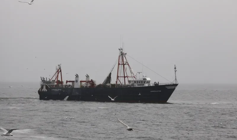 CONSTELLATION General Cargo IMO 8030788 photo 4