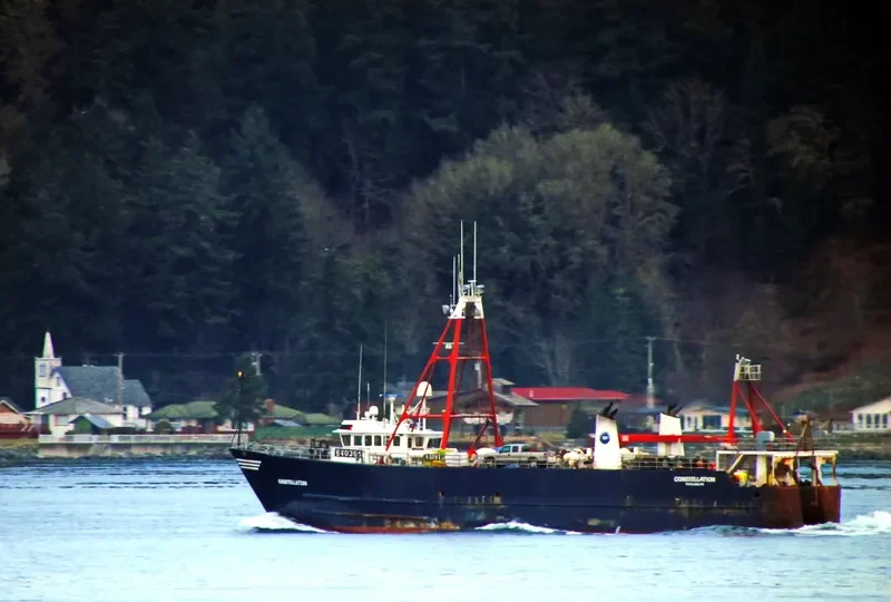 CONSTELLATION General Cargo IMO 8030788 photo 6
