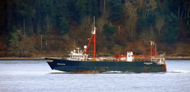 CONSTELLATION General Cargo IMO 8030788 photo 7