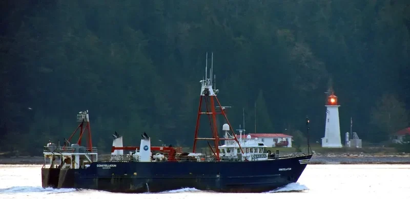 CONSTELLATION General Cargo IMO 8030788 photo 9