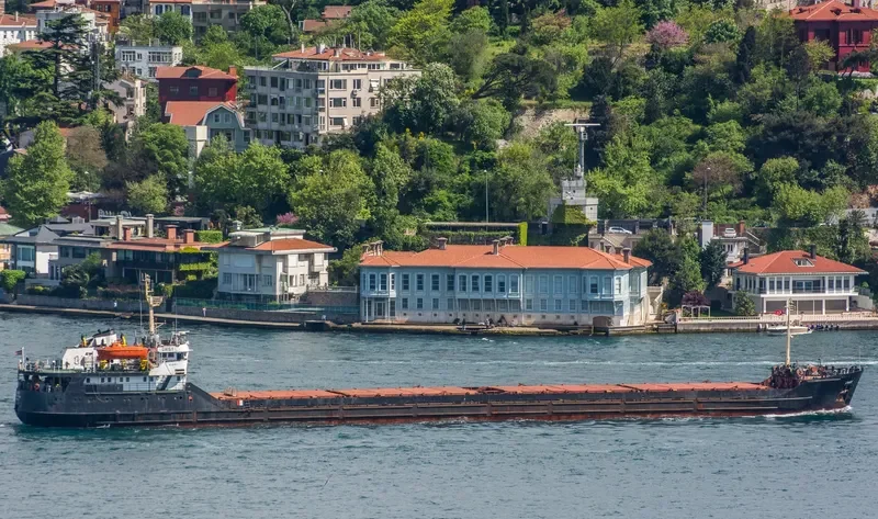 DAISY General Cargo IMO 8033120 photo 8