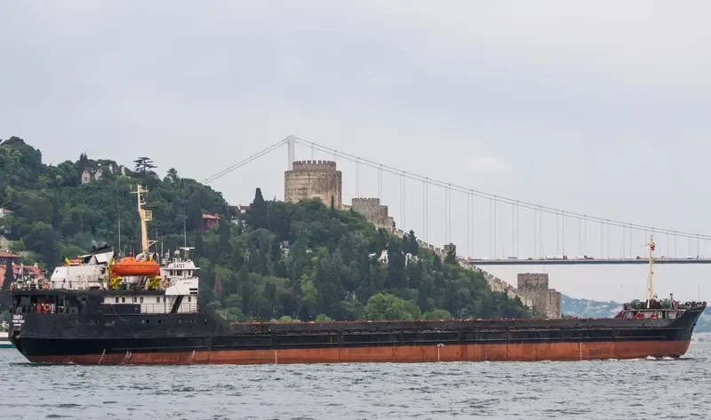DAISY General Cargo IMO 8033120 photo 10