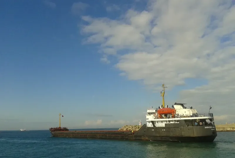 ALEKSEY AFANASYEV General Cargo IMO 8033132