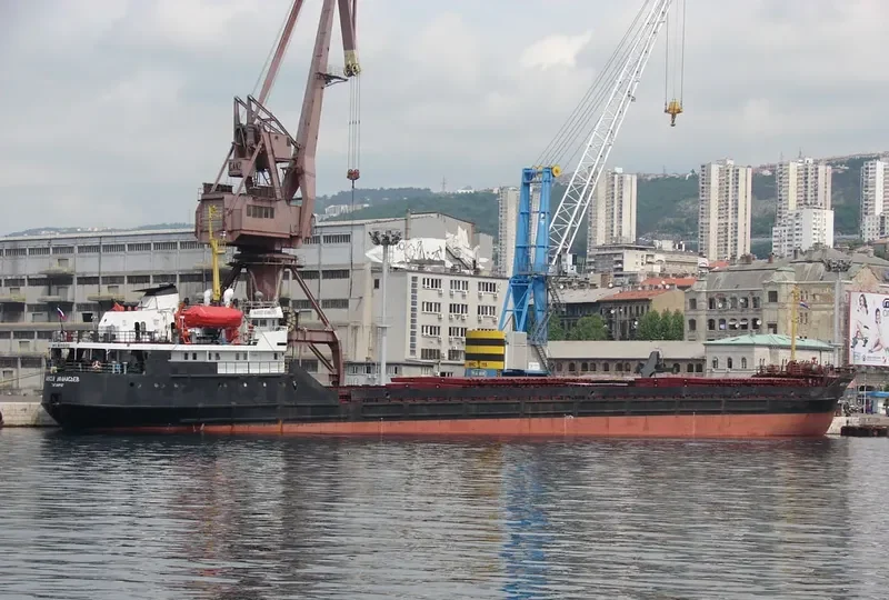 ALEKSEY AFANASYEV General Cargo IMO 8033132 photo 8