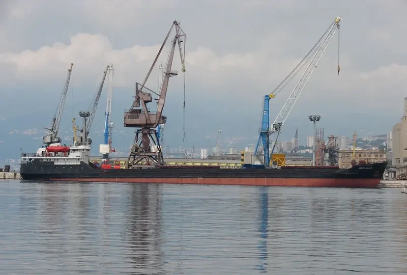 ALEKSEY AFANASYEV General Cargo IMO 8033132 photo 9