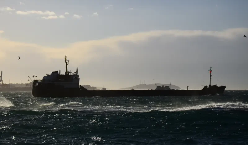 ALEKSEY AFANASYEV General Cargo IMO 8033132 photo 10