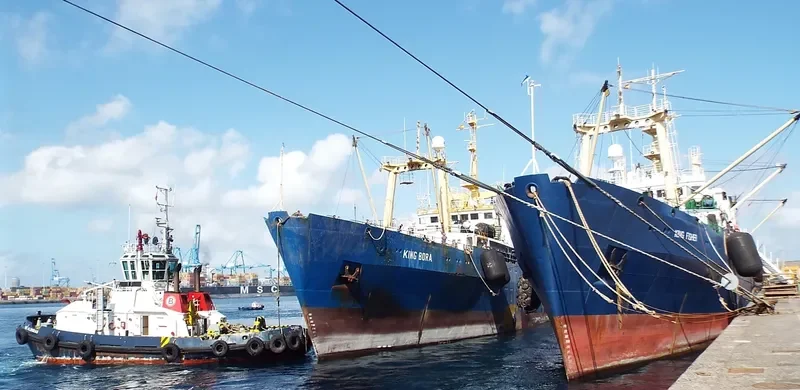 HELSINGFORS General Cargo IMO 8033297