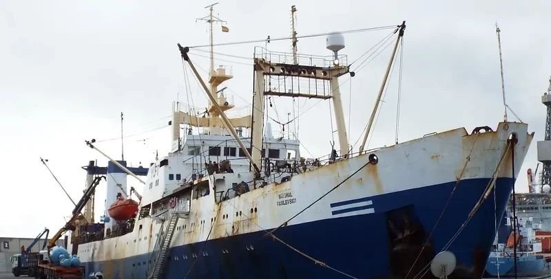 MARSHAL VASILEVSKIY General Cargo IMO 8033869