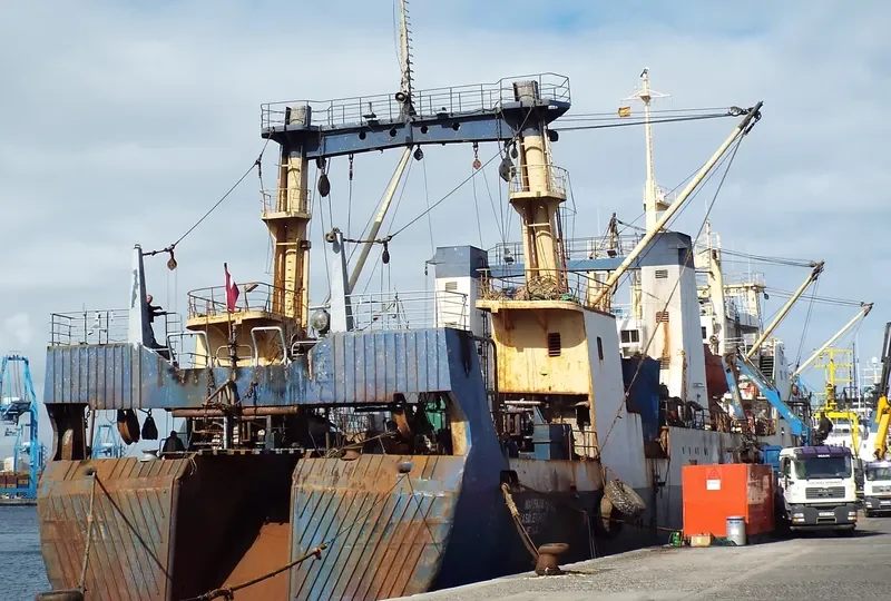 MARSHAL VASILEVSKIY General Cargo IMO 8033869 photo 3