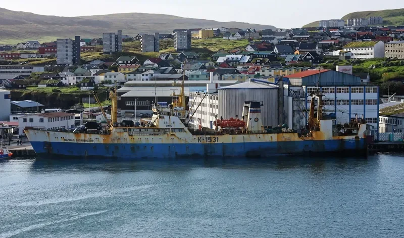 MARSHAL VASILEVSKIY General Cargo IMO 8033869 photo 4