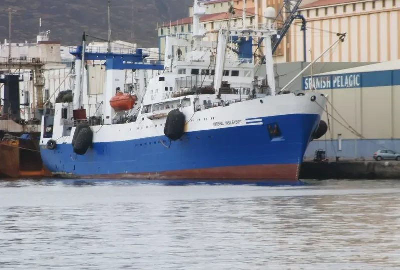 MARSHAL VASILEVSKIY General Cargo IMO 8033869 photo 5
