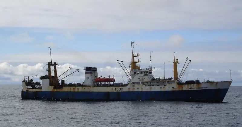 MARSHAL VASILEVSKIY General Cargo IMO 8033869 photo 6