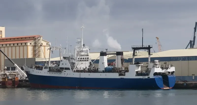 MARSHAL KRYLOV General Cargo IMO 8035099