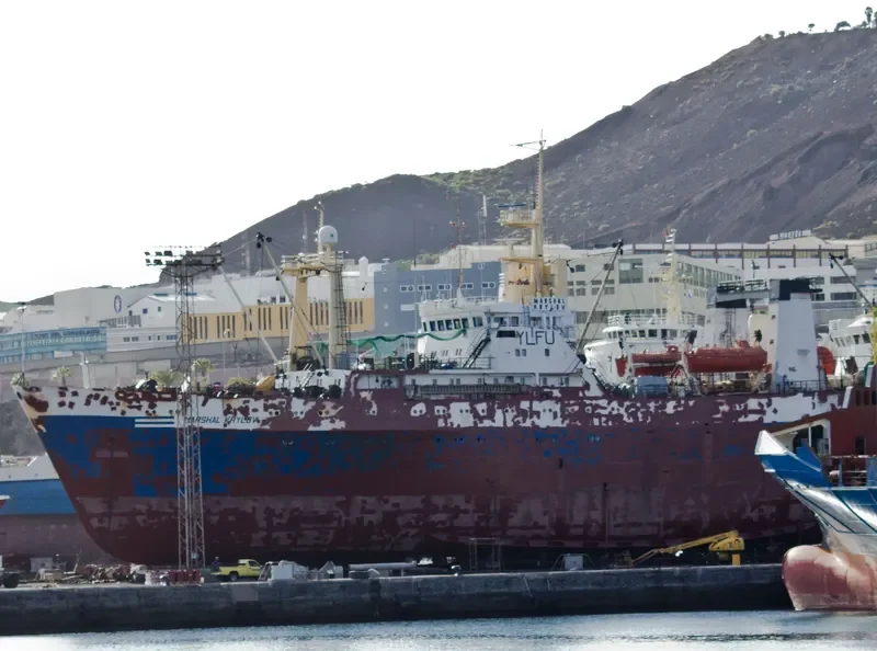 MARSHAL KRYLOV General Cargo IMO 8035099 photo 5
