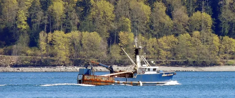 OCEAN HUNTER General Cargo IMO 8036550