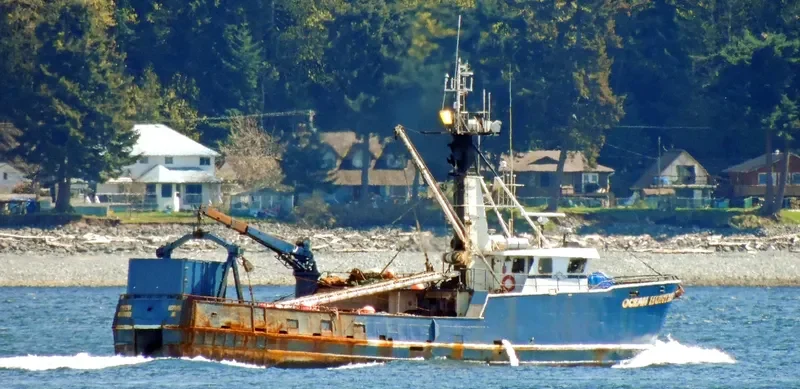 OCEAN HUNTER General Cargo IMO 8036550 photo 2