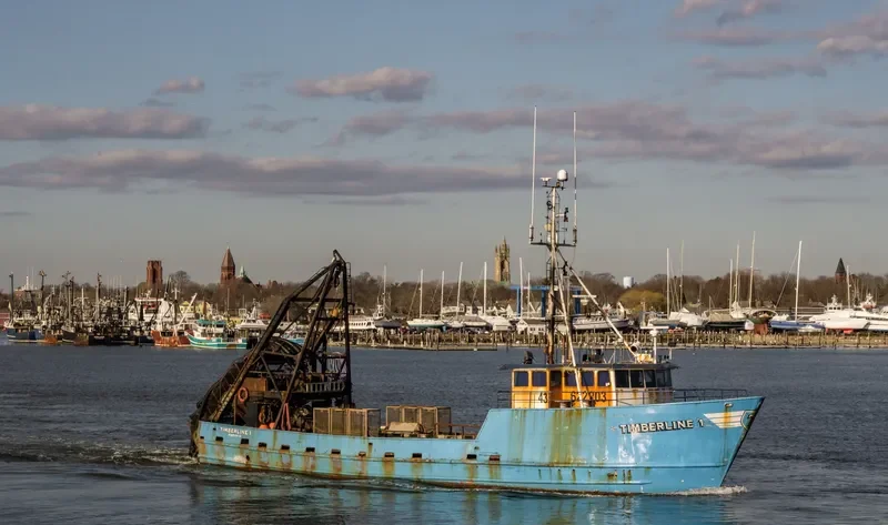 TIMBERLINE I General Cargo IMO 8036665