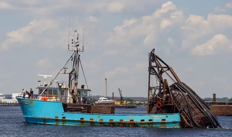 TIMBERLINE I General Cargo IMO 8036665 photo 2