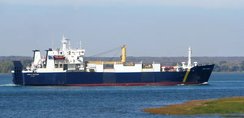 CAMILLA D Ro-Ro IMO 8100595