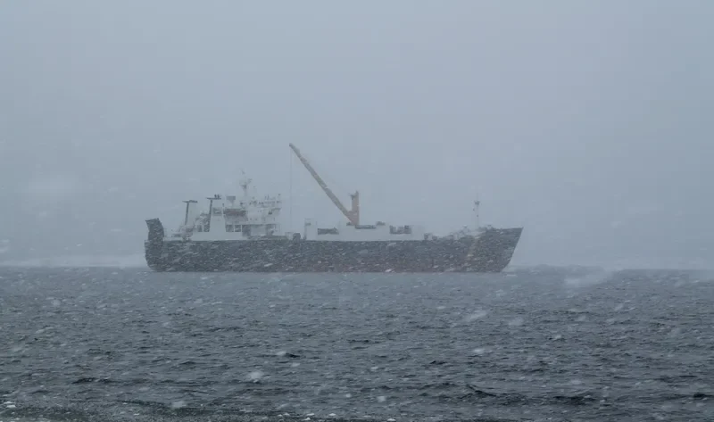 CAMILLA D Ro-Ro IMO 8100595 photo 2