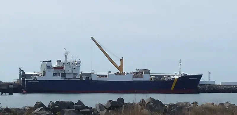 CAMILLA D Ro-Ro IMO 8100595 photo 3
