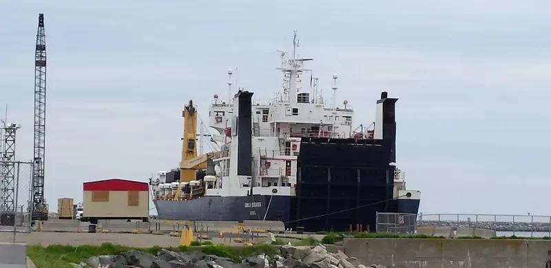CAMILLA D Ro-Ro IMO 8100595 photo 4