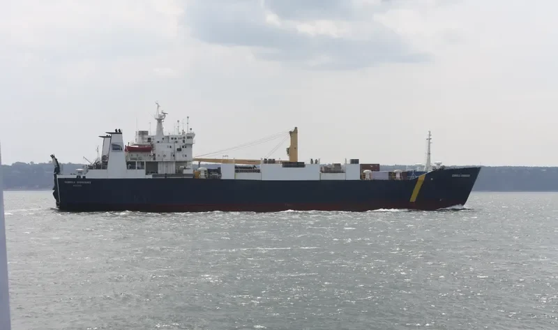 CAMILLA D Ro-Ro IMO 8100595 photo 5