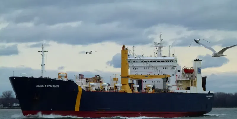 CAMILLA D Ro-Ro IMO 8100595 photo 6