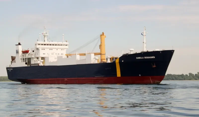 CAMILLA D Ro-Ro IMO 8100595 photo 7