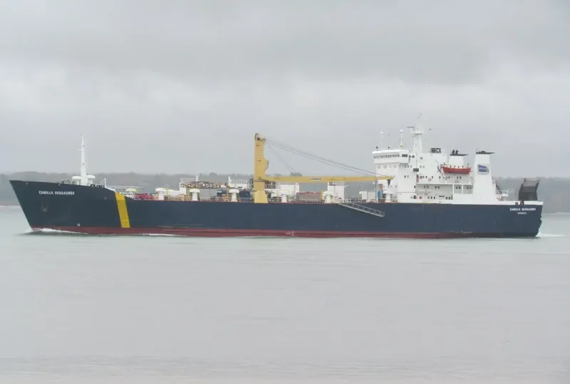 CAMILLA D Ro-Ro IMO 8100595 photo 8