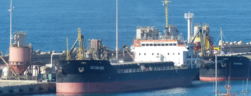 REGINA MED General Cargo IMO 8100777