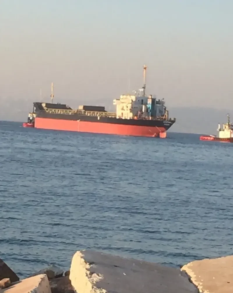 REGINA MED General Cargo IMO 8100777 photo 3