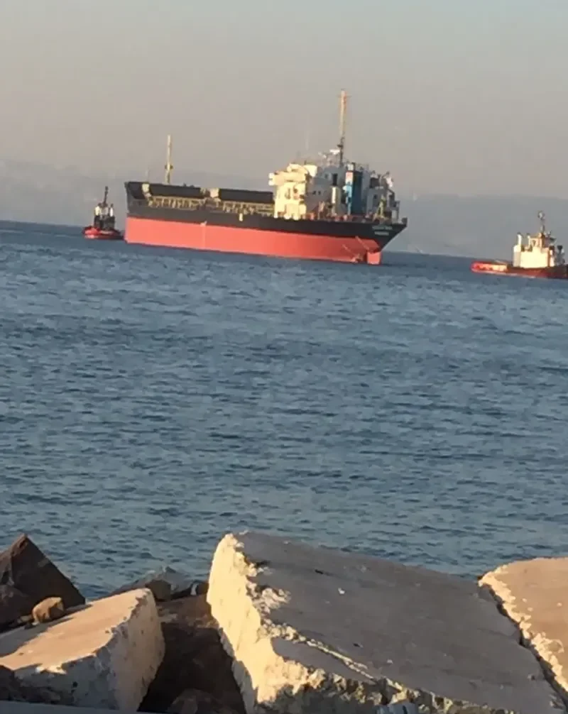 REGINA MED General Cargo IMO 8100777 photo 6