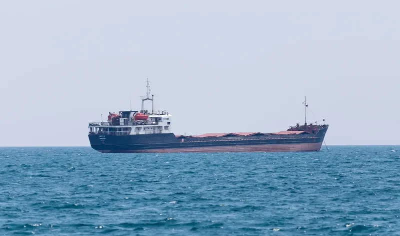 VAN GOGH General Cargo IMO 8101410 photo 7