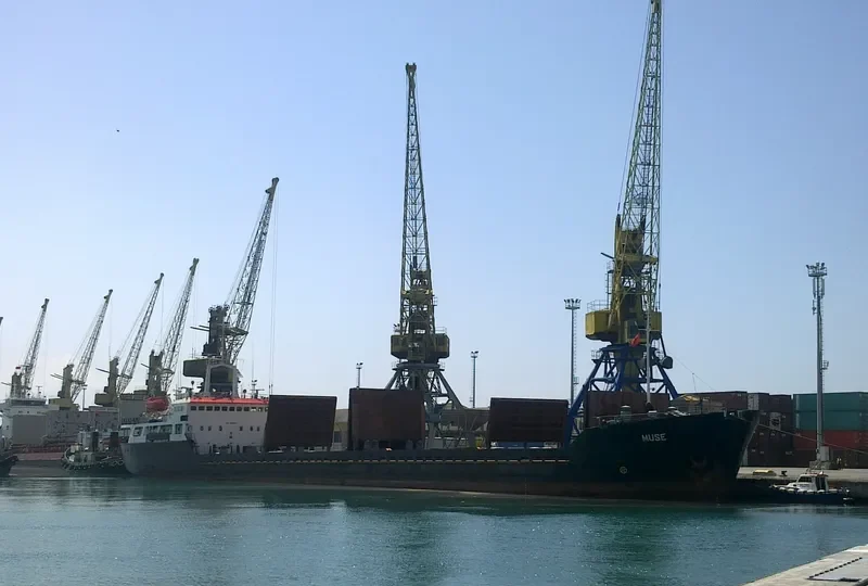 MUSE General Cargo IMO 8101434 photo 4