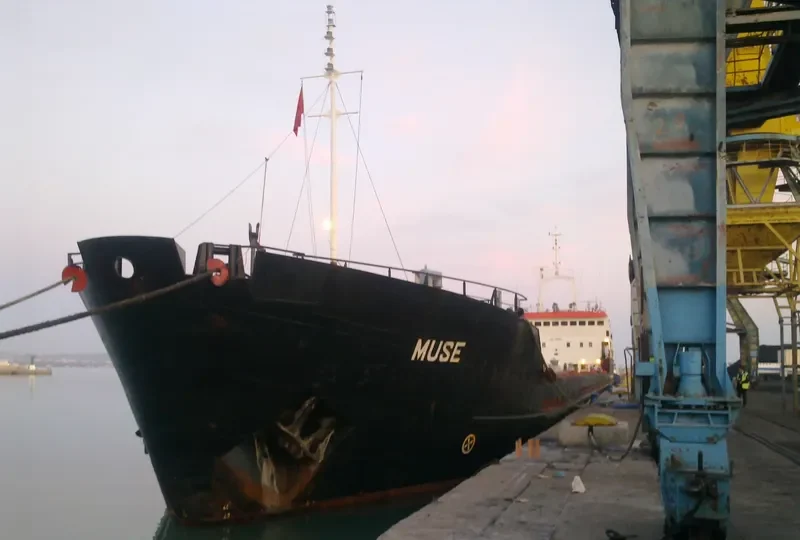 MUSE General Cargo IMO 8101434 photo 5
