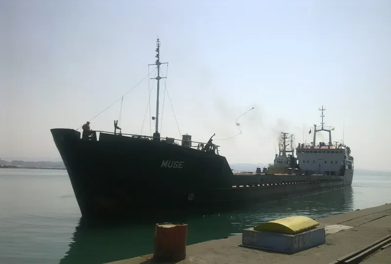 MUSE General Cargo IMO 8101434 photo 6