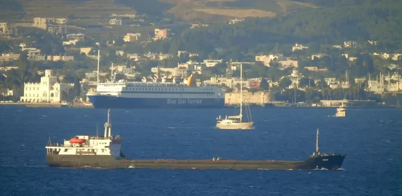 MUSE General Cargo IMO 8101434 photo 9